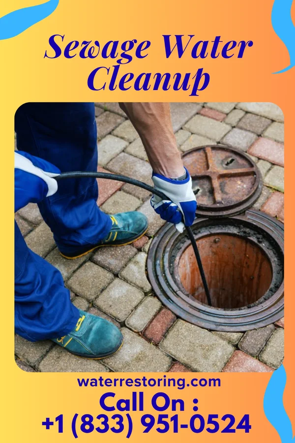 Sewage Water Cleanup in Patmos, AR