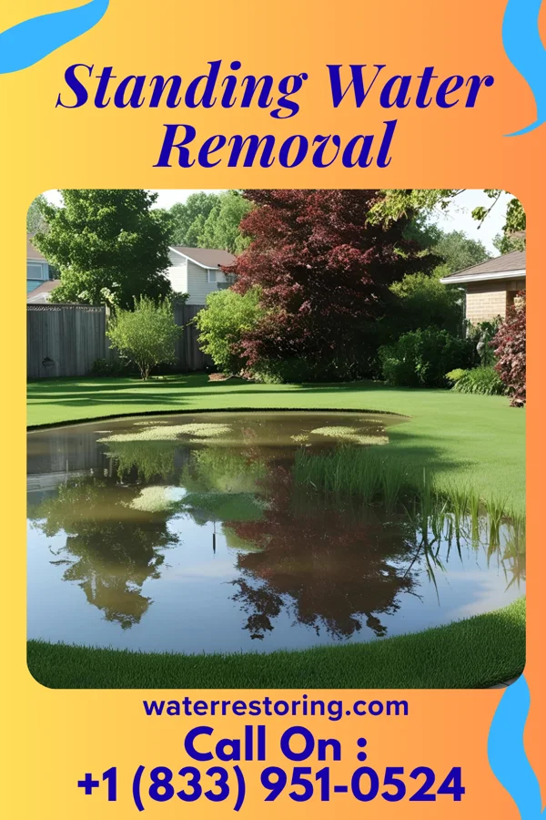 Standing Water Removal in Patmos, AR